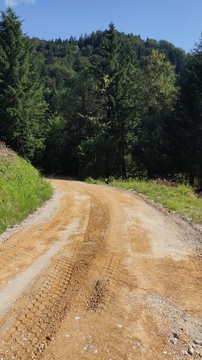 Špitalič (2)